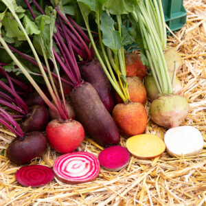 Biotessuto - Mix Bietole Colorate