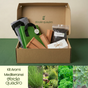 KIT AROMI MEDITERRANEI