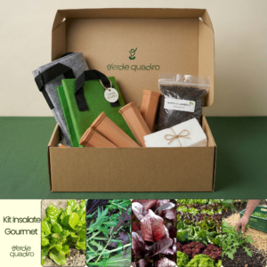 KIT INSALATE GOURMET