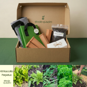 KIT RACCOLTO PERPETUO